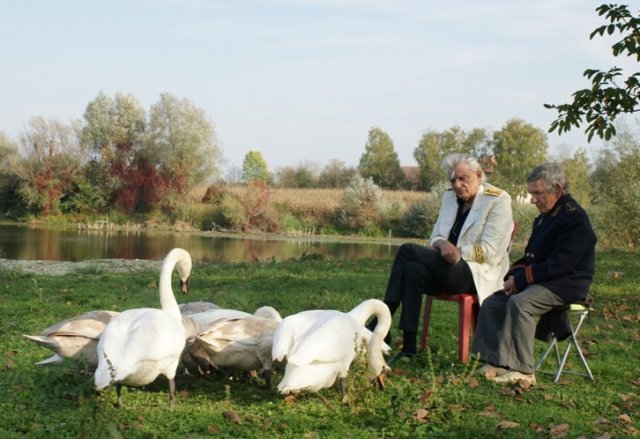 nocna mora malnar seva blog.jpg, 136 KB